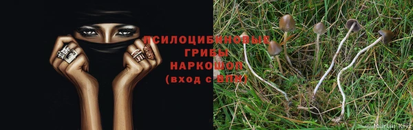 а пвп мука Балахна